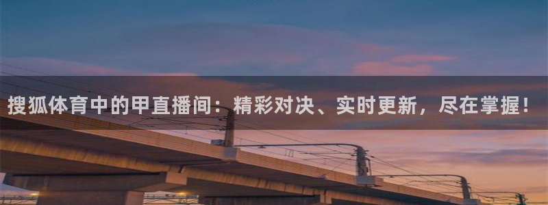 山猫足球直播在线观看免费：搜狐体育中的甲直播间：精彩对决、实时更新，尽在掌握！