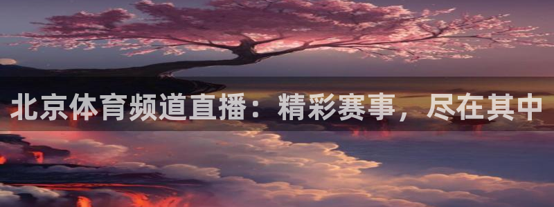 山猫免费直播nba比赛：北京体育频道直播：精彩赛事，尽在其中