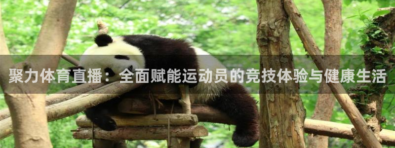 nba山猫体育直播：聚力体育直播：全面赋能运动员的竞技体验与健康生活