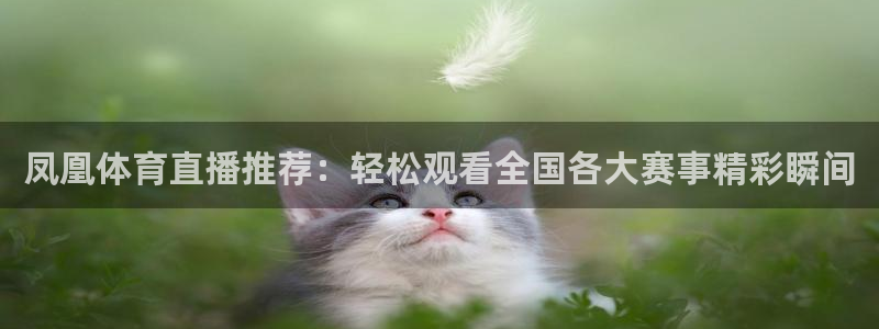 看免费体育直播山猫直播：凤凰体育直播推荐：轻松观看全国各大赛事精彩瞬间