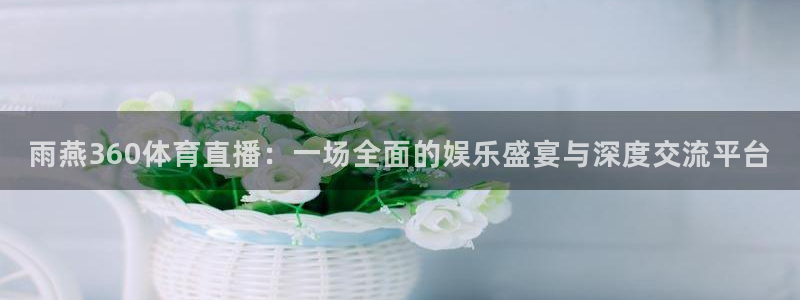 山猫体育nba直播：雨燕360体育直播：一场全面的娱乐盛宴与深度交流平台