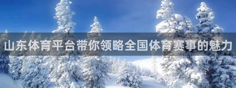 山猫在线观看nba直播比赛：山东体育平台带你领略全国体育赛事的魅力