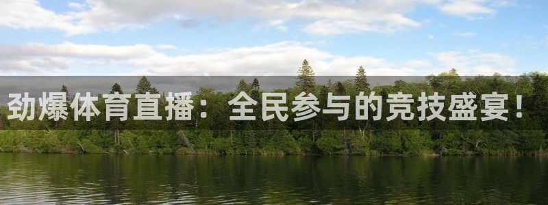 山猫足球直播免费观看：劲爆体育直播：全民参与的竞技盛宴！