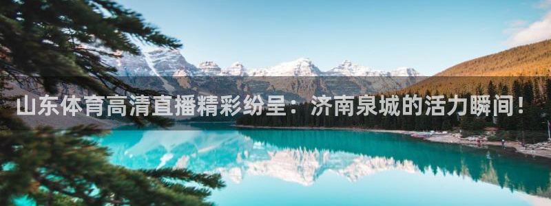 山猫nba体育直播：山东体育高清直播精彩纷呈：济南泉城的活力瞬间！