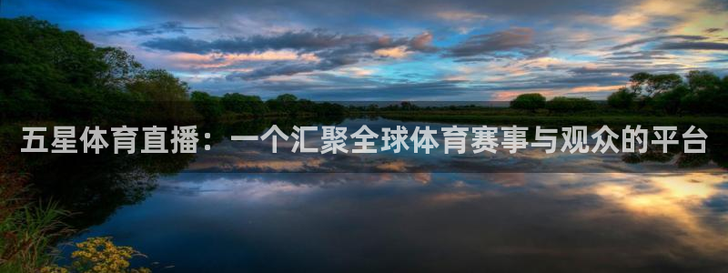 山猫直播足球免费直播：五星体育直播：一个汇聚全球体育赛事与观众的平台