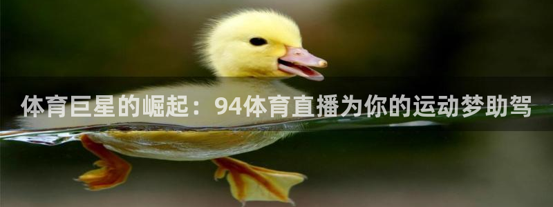 山猫体育在线直播高清：体育巨星的崛起：94体育直播为你的运动梦助驾