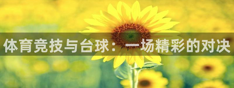 山猫体育足球比赛直播：体育竞技与台球：一场精彩的对决