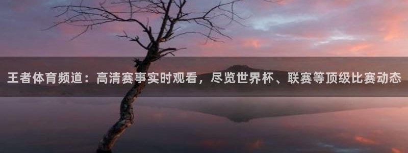 山猫nba直播：王者体育频道：高清赛事实时观看，尽览世界杯、联赛等顶级比赛动态