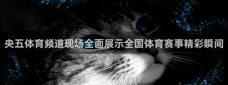 山猫体育篮球直播